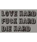 Love hard